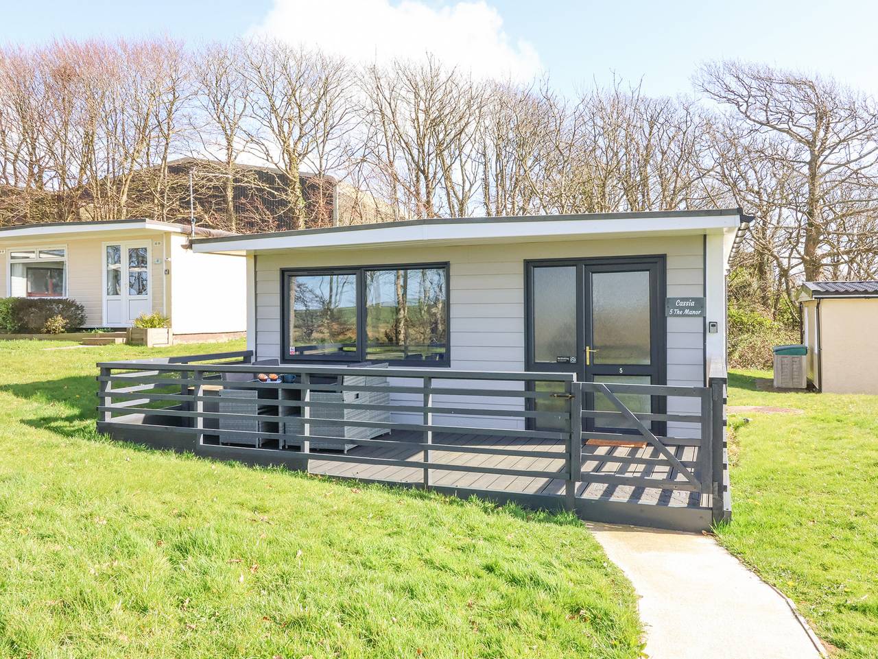 Cassia in Cornwall