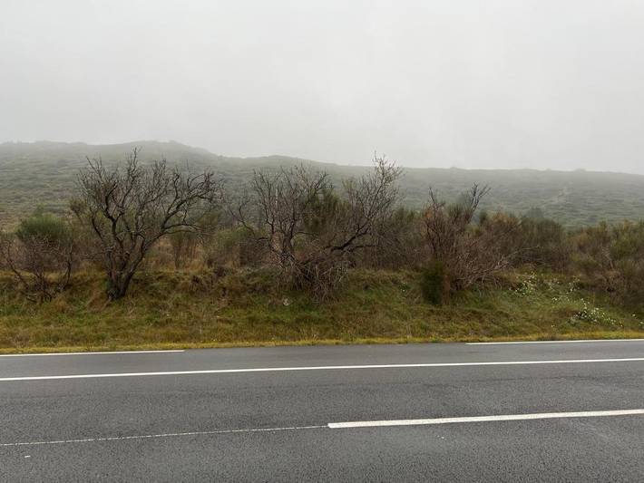 Gîte pour 6 personnes, avec jacuzzi ainsi que terrasse et bassin pour enfant à Conilhac-Corbières - 3