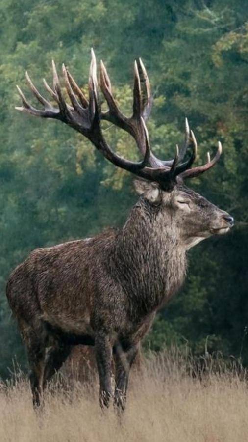 Maison d’hôte pour 7 personnes, avec terrasse ainsi que jardin et piscine, animaux acceptés dans Loiret - 2