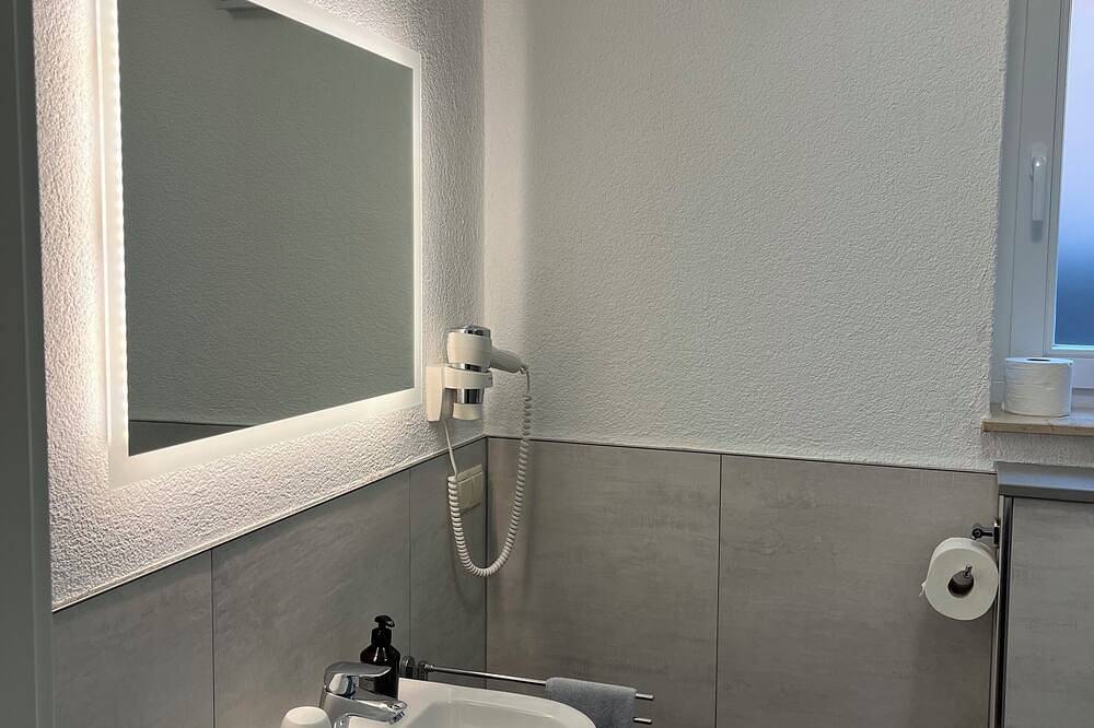 Ganze Wohnung, Studiowohnung \"Osterberg\" im alten Weingut in Großkarlbach, Deutsche Weinstraße