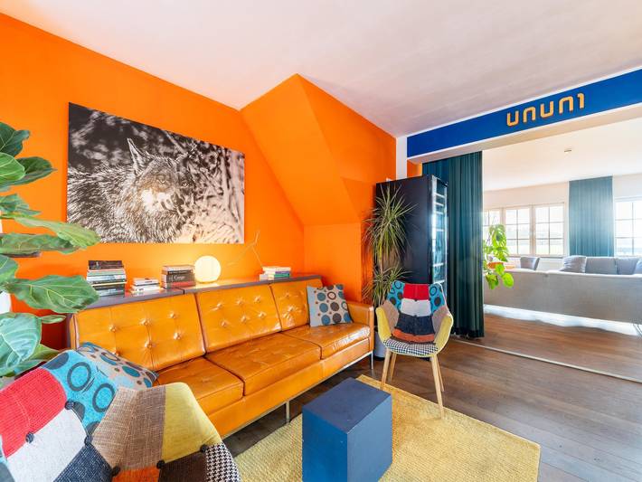 Vakantiehuis voor 27 personen, with tuin and whirlpool as well as terras, met huisdier in het Nationaal Park Dwingelderveld