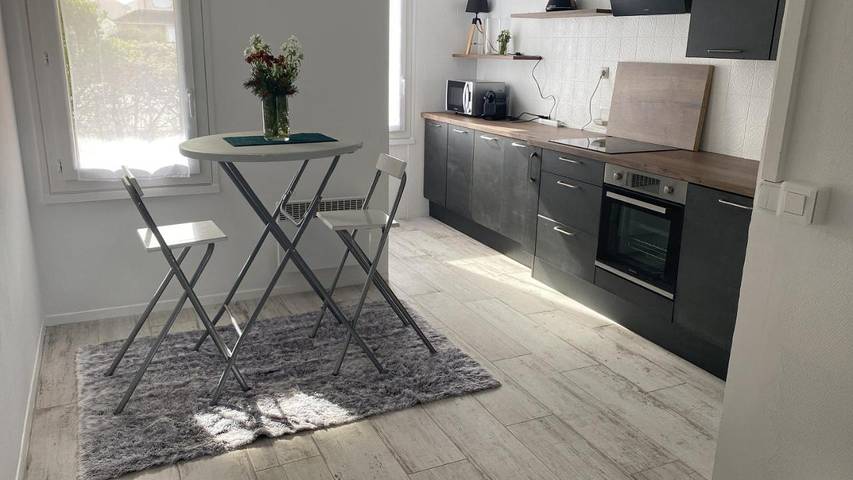 Location de vacances pour 6 personnes, avec jacuzzi et jardin à Ouzouer-sur-Loire - 3