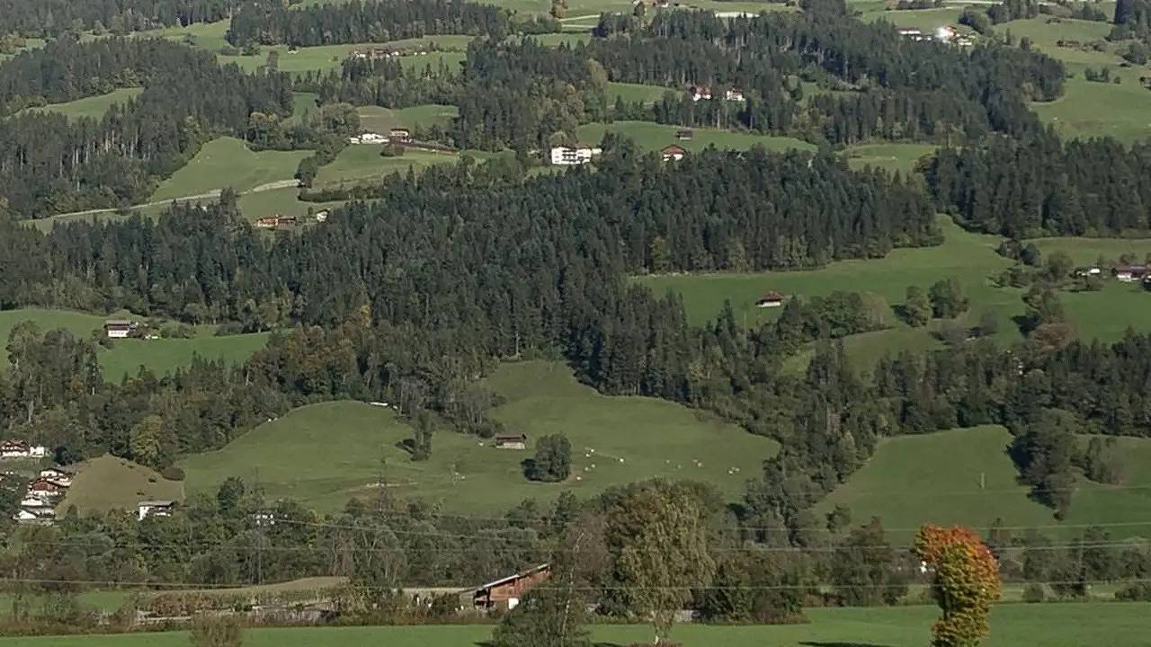 Entire holiday apartment, Ferienwohnung für 4 Personen (65 m²) in Fügen in Tux Alps, Fügen