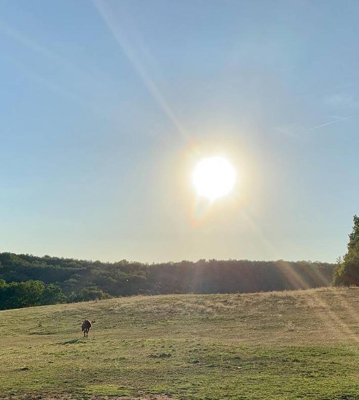 Gîte pour 7 personnes, avec jardin ainsi que vue et piscine, animaux acceptés à Damiatte - 4