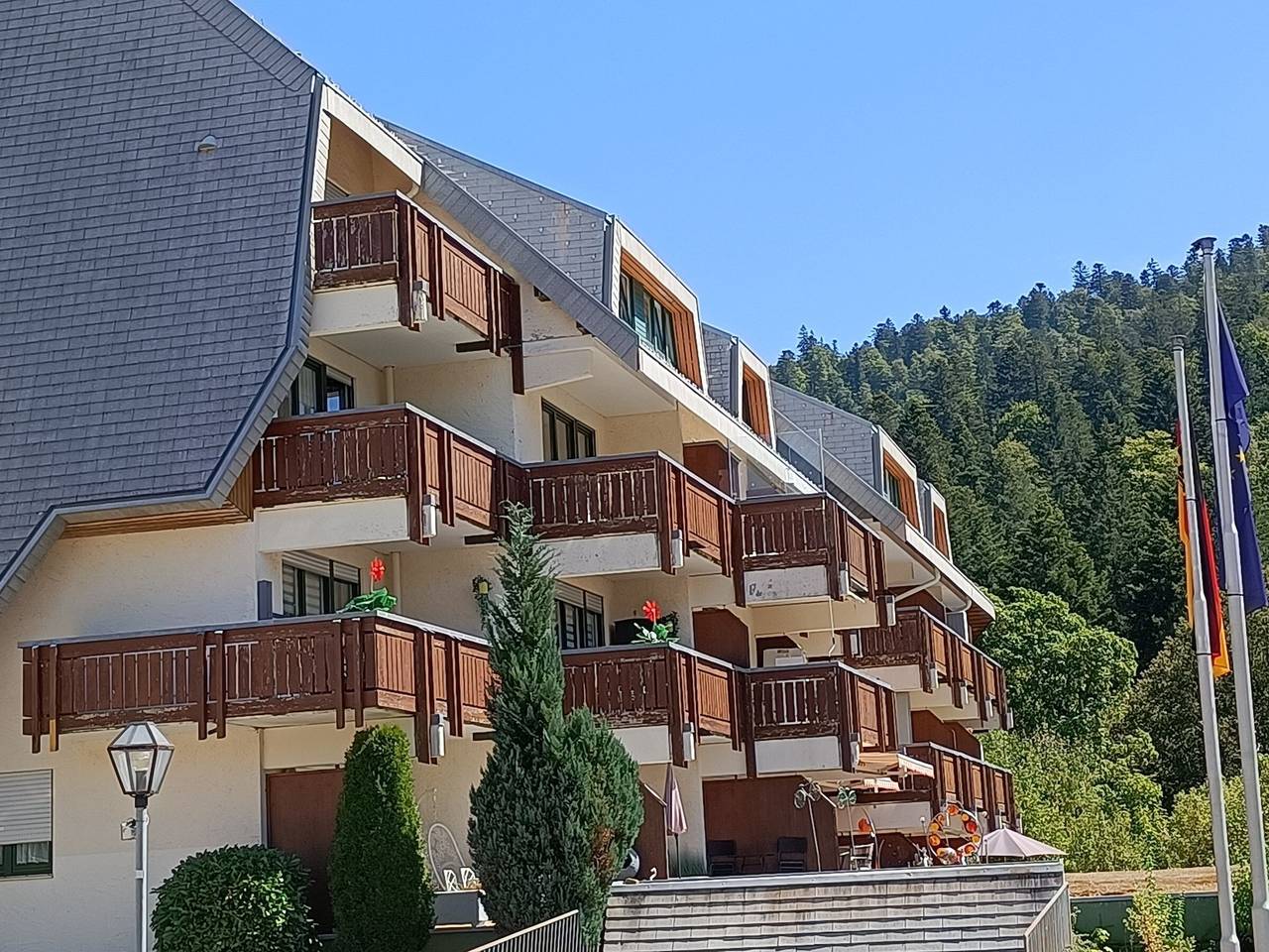 Ganze Wohnung, Apartment „Sonnen Strahl“ mit Balkon und Wlan in Todtmoos, Südschwarzwald