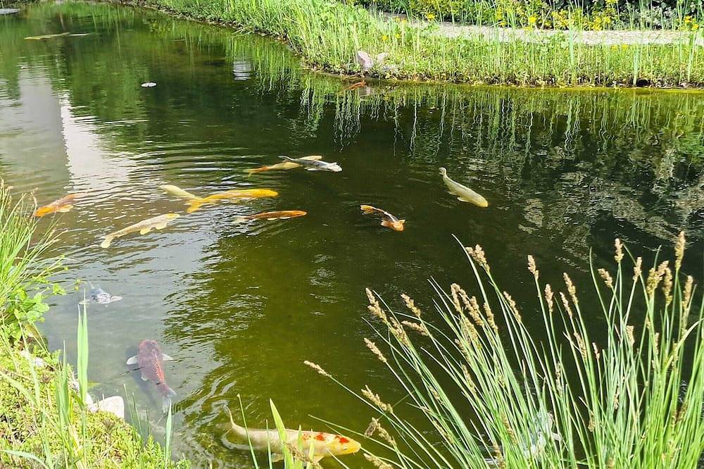 Gästezimmer mit bezauberndem Garten und Koi-Teich. in Trebbin, Teltow-Fläming
