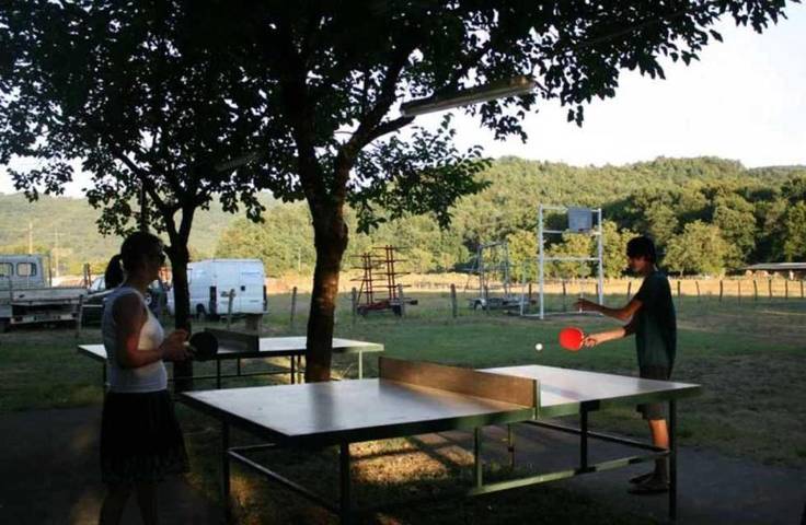 Location de vacances pour 6 personnes, avec terrasse, animaux acceptés à Monceaux-sur-Dordogne - 4
