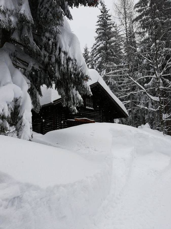 Ferienhütte Hochalm in Lunz am See, Mostviertel Region