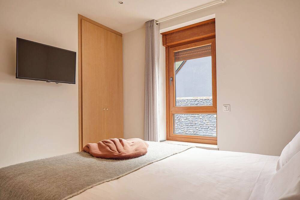 Appartement entier, Aiguamog in Salardú, Naut Aran