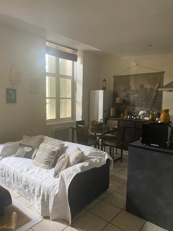 Gîte pour 4 personnes, avec vue et jardin, animaux acceptés à Villefranche-de-Lauragais - 3