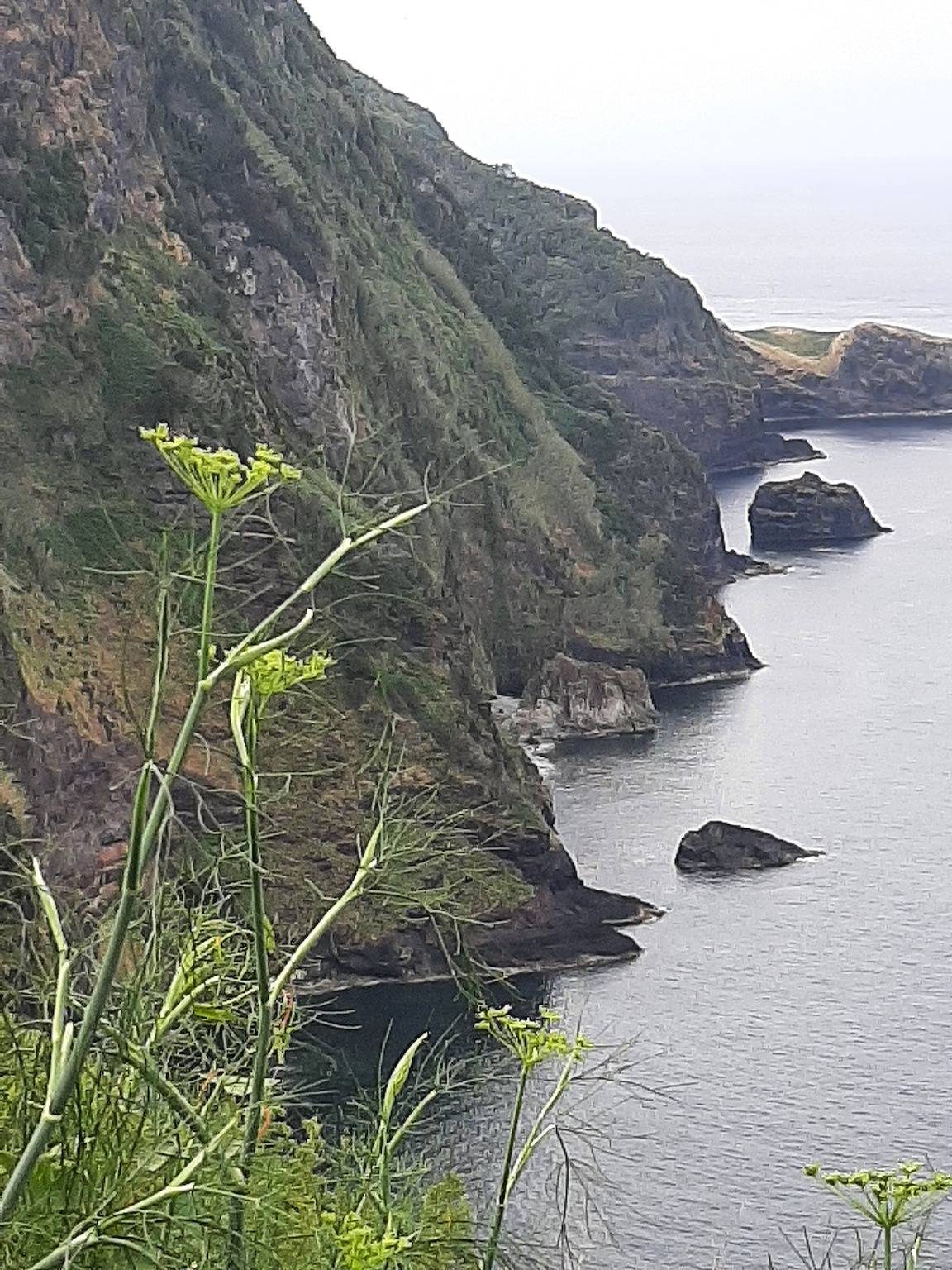 Casa Vicente Appartement avec Vue sur Mer et Jardin Privatif in Flores (Açores)