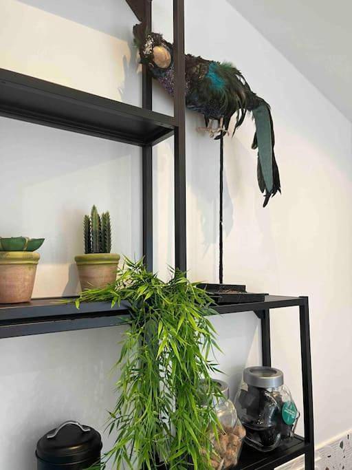 Gîte pour 2 personnes, avec balcon à Saint-André-de-Sangonis - 3