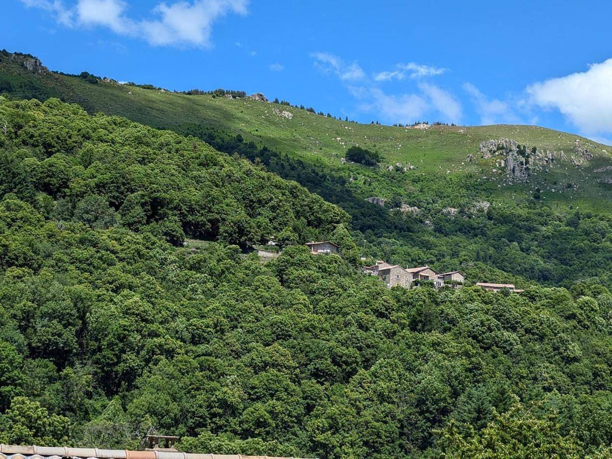 Le lys de la vallée in Labastide-sur-Bésorgues, Parc naturel régional des Monts d'Ardèche