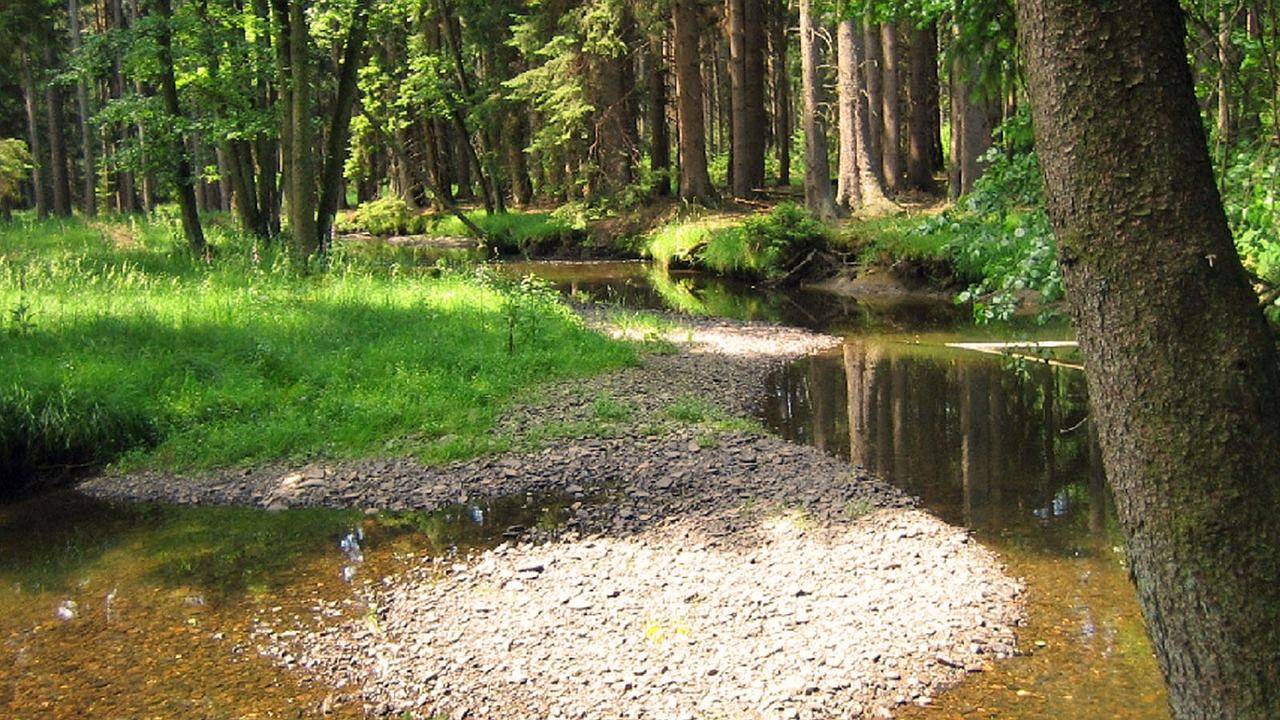 Appartement de vacances entier, Ferienwohnung für 4 Personen (43 m²) in Arnsberg in Arnsberg, Arrondissement du Haut-Sauerland
