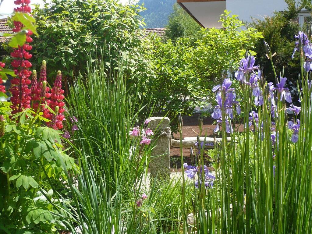 Ferienwohnung mit 1 Schlafzimmer in Unterammergau, Bayerische Alpen