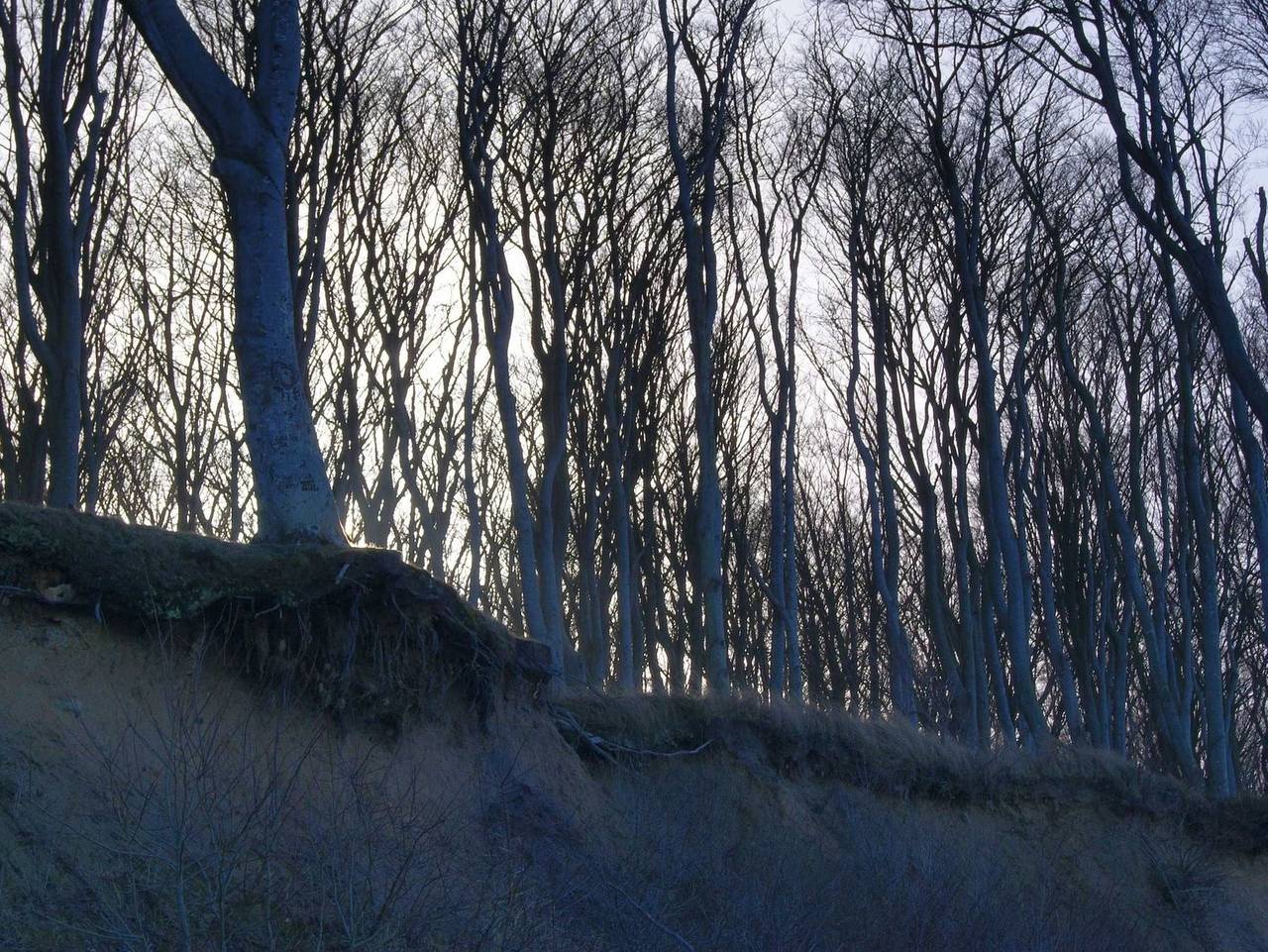Ganze Ferienwohnung, Uns Hus - Ferienhaus an den Weiden 9 in Nienhagen, Bad Doberan & Umland