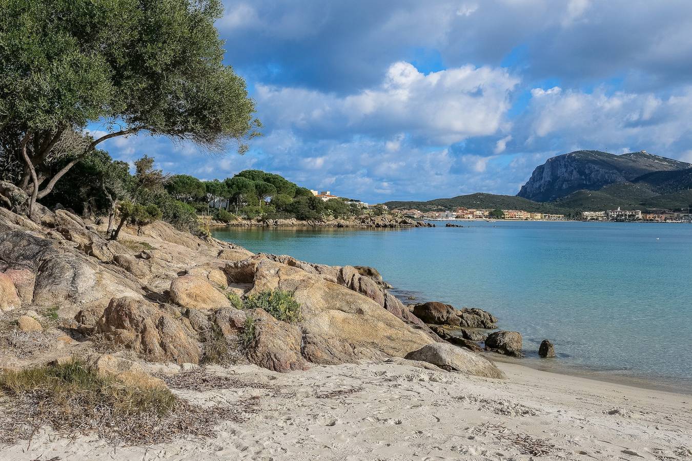 Appartamento "Residence Orizzonti N 25" con vista mare e terrazza privata in Baia Caddinas, Golfo Aranci