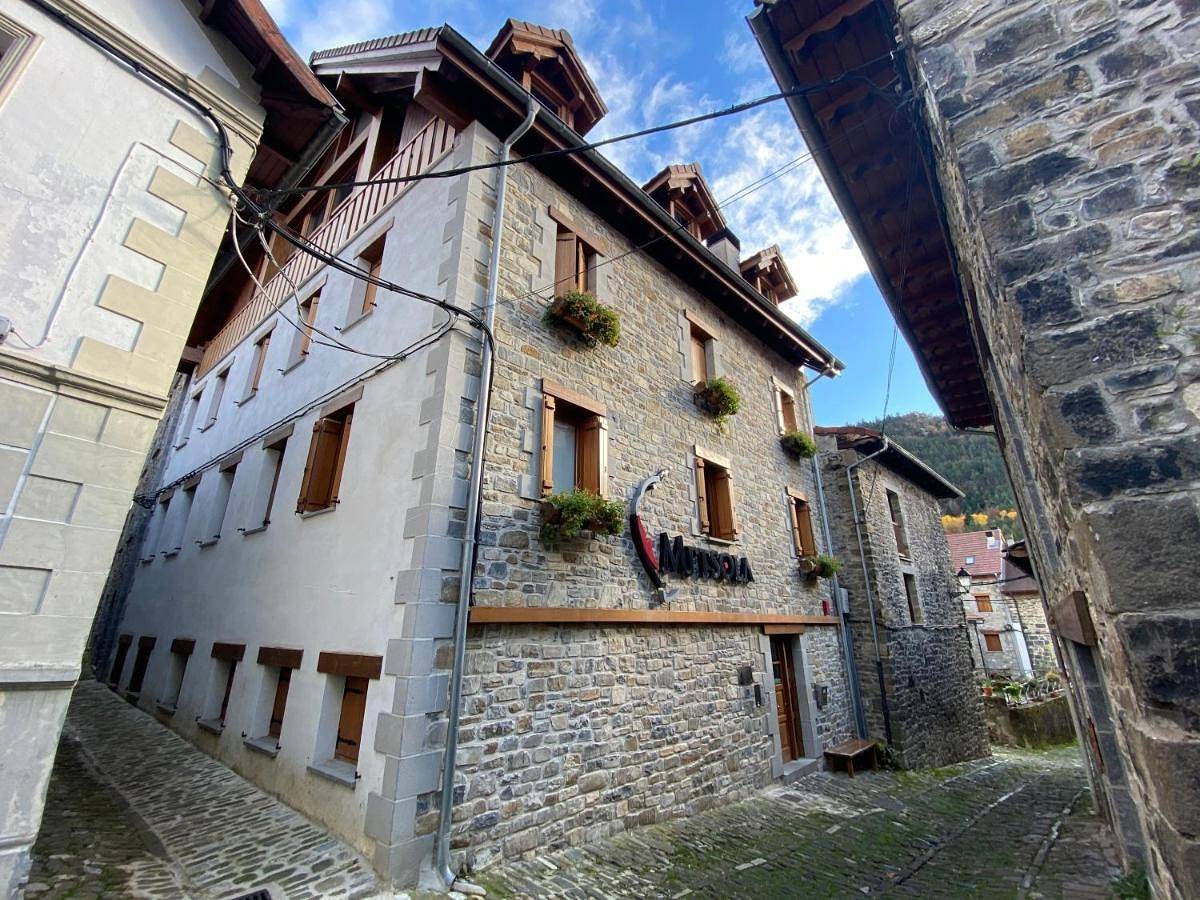 Appartement entier, Metsola Apartamentos Rurales in Isaba, Pyrénées espagnoles