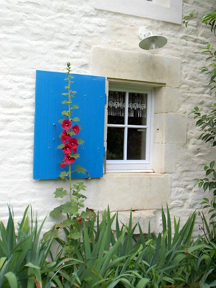 Le Paradis - Chambre verte in Le Vanneau-Irleau, Région de Niort