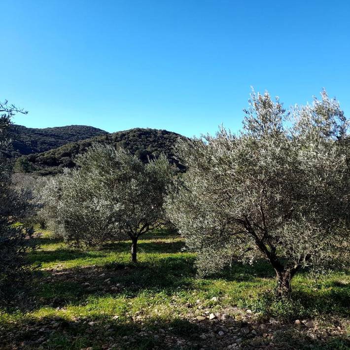 Maison de campagne pour 6 personnes, avec Jardin et Vue à Ceyras