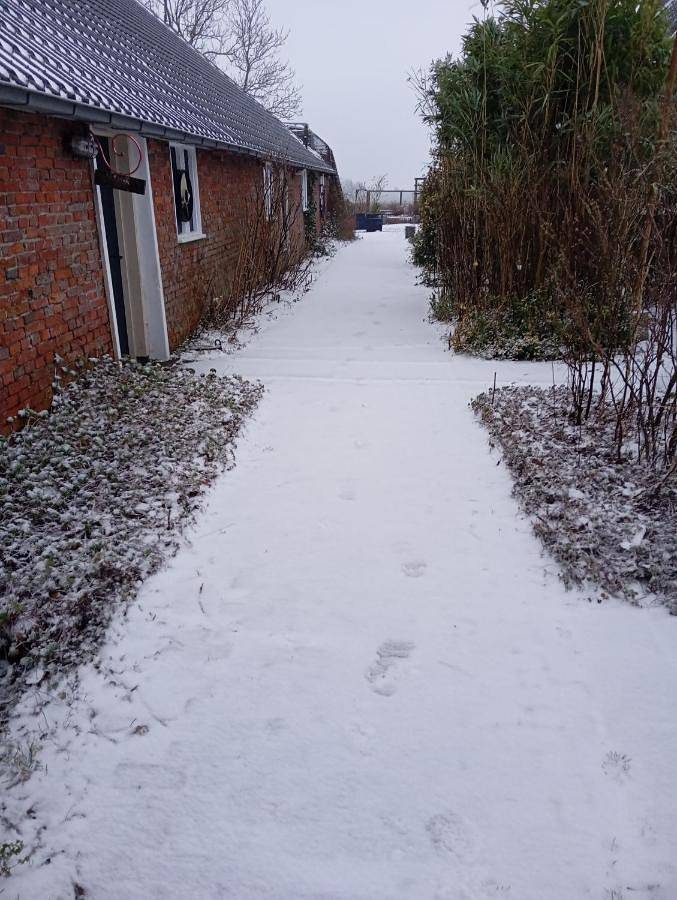 Single Room with Private External Bathroom in Loppersum (gemeente), Nederlandse Noordzeekust