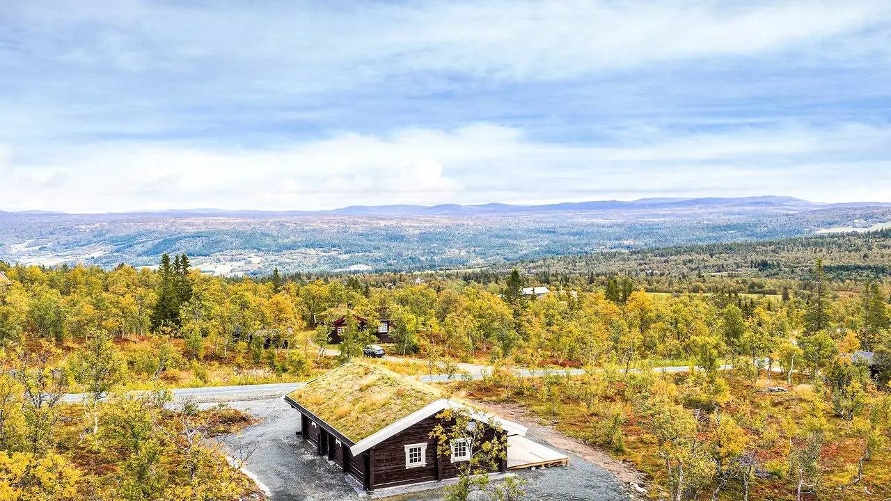 Ferienhaus für 8 Personen (120 m²) in Ålen in Holtålen