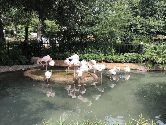 Apartment for 8 people, with terrace and yard in San Antonio