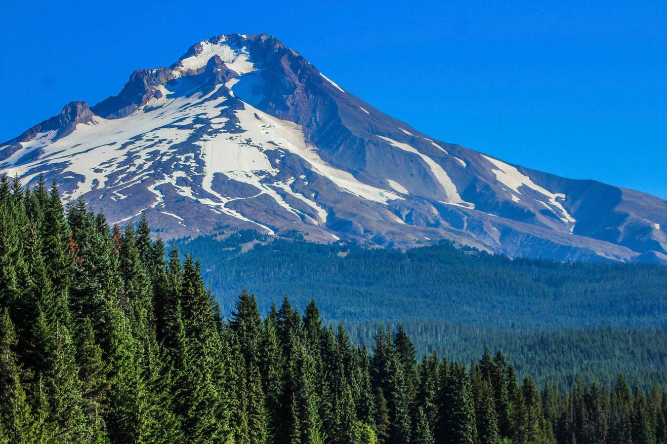 Apartamento entero, Whispering Woods I in Mount Hood Village, Mount Hood