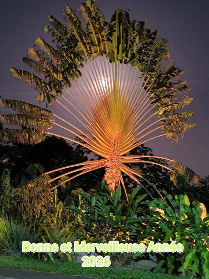 Appartement de vacances pour 6 personnes, avec jardin et vue