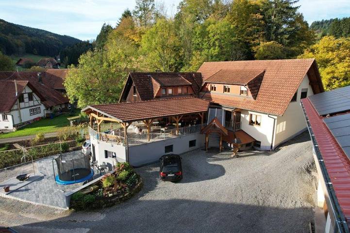 Gîte pour 3 personnes, avec jardin et terrasse à Steinach - 2