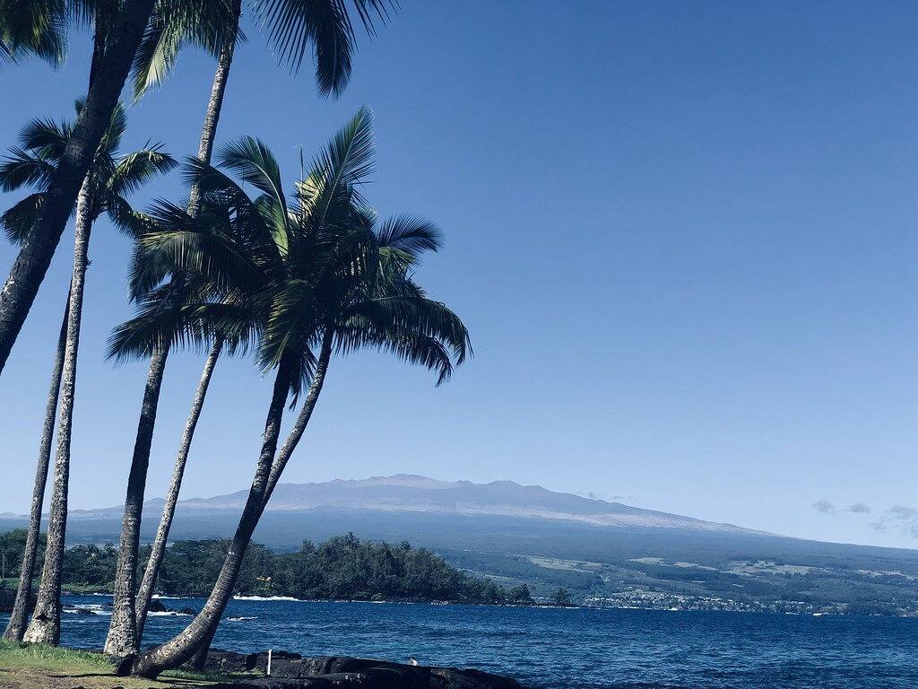 King room ensuite is spacious , relaxing, quiet space with a homey atmosphere. in Hilo, South Hilo