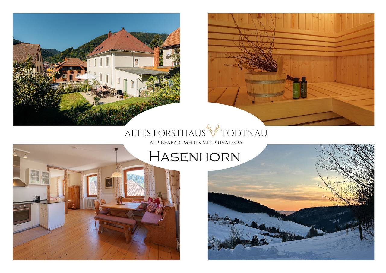 Ganze Ferienwohnung, Altes Forsthaus - Fewo "Hasenhorn", mit privater Sauna, Todtnau- Feldberg in Suedlicher Schwarzwald, Todtnau