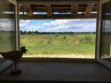 Gîte pour 10 personnes, avec jardin, animaux acceptés à Ouzouer-sur-Trézée