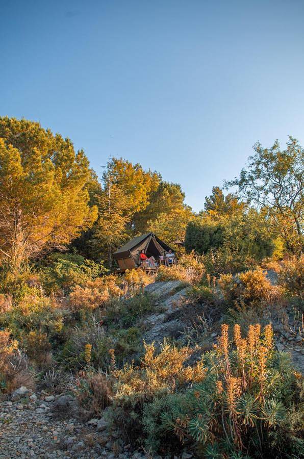 Camping la Peiriere - Lodge en Pays Cathare in Tuchan, Côte méditerranéenne (France)