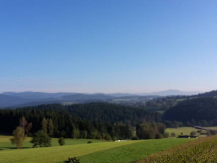 Ferienwohnung für 4 Personen, mit Garten und Terrasse in Regen (Ostbayern) - 4