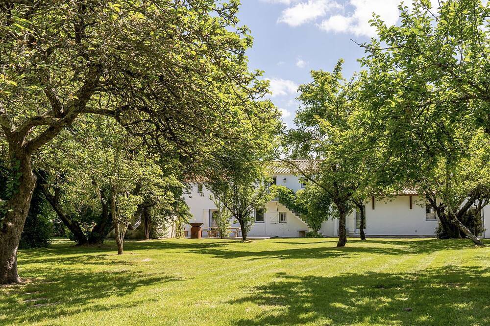 Quiet family cottage between sea and marsh! in Sallertaine, Vandea
