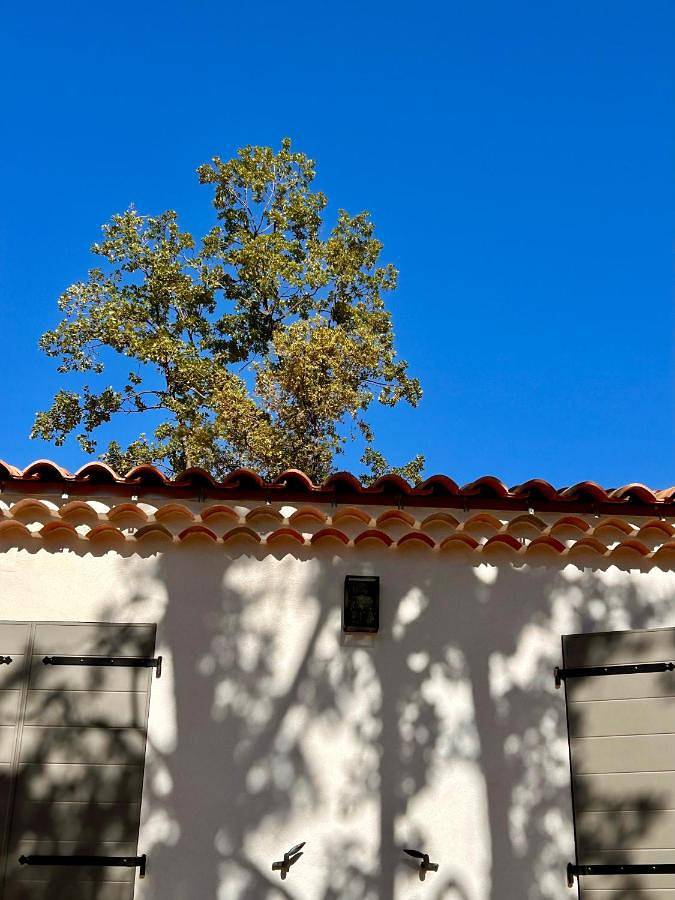 Location de vacances pour 8 personnes, avec jardin et vue à Faucon - 4