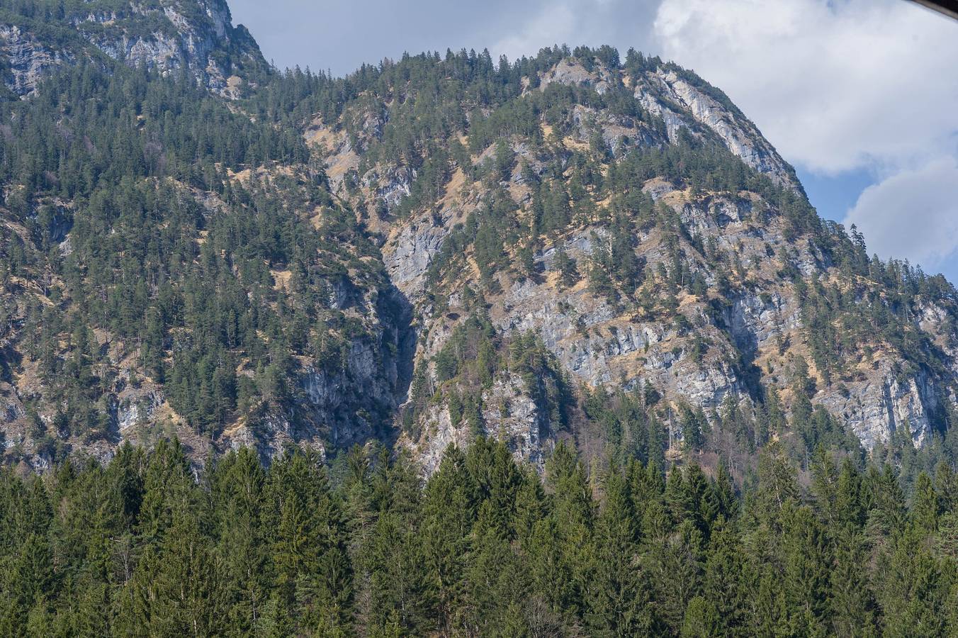Entire studio, Studio Apartment 'Mini Apartment 2' with Mountain View, Shared Garden and Wi-Fi in Mittenwald, Bavarian Alps