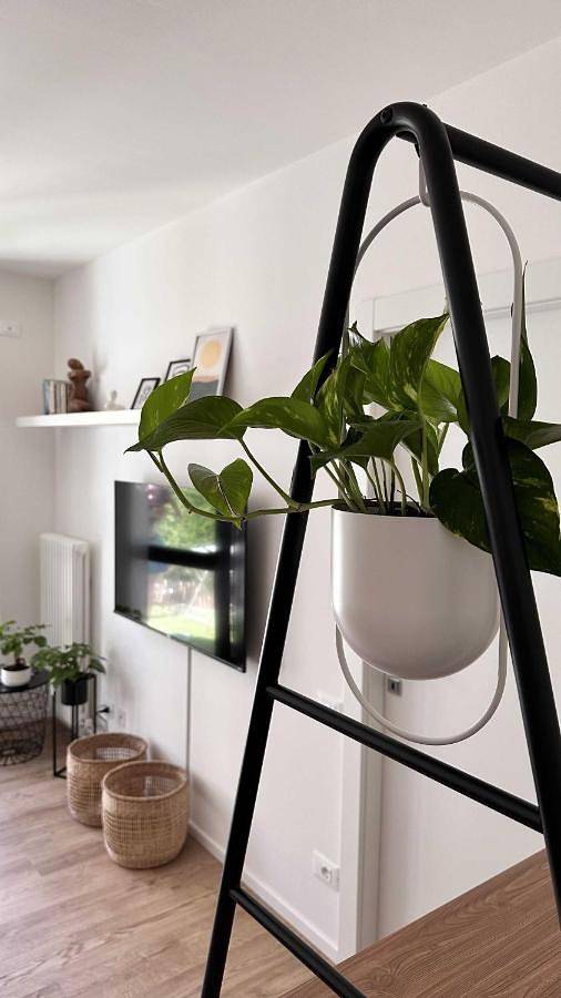 Gîte pour 2 personnes, avec jardin et terrasse, animaux acceptés à Trente - 3