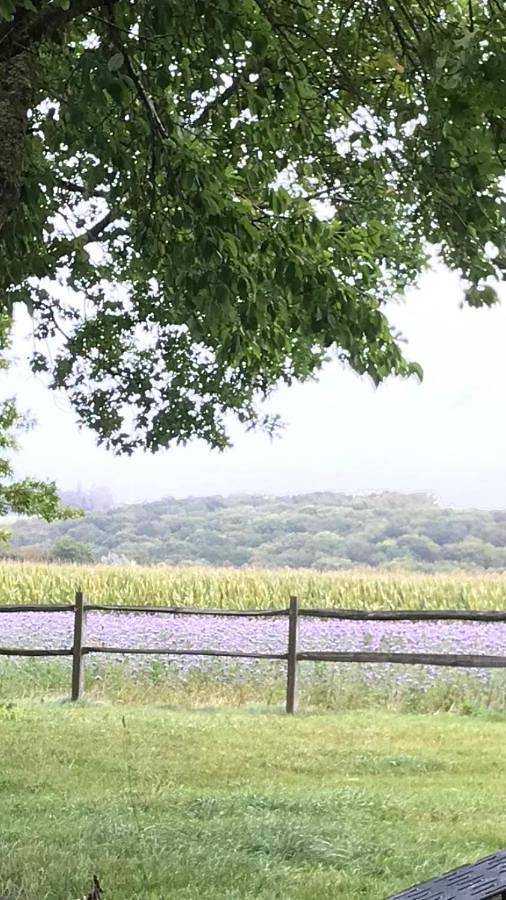 Location de vacances pour 8 personnes, avec vue et jardin à Ellezelles - 4