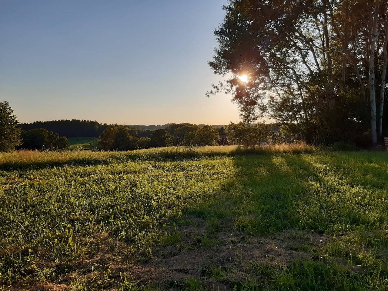 Ganze Ferienwohnung, Zum Gänseglück in Reut, Ostbayern