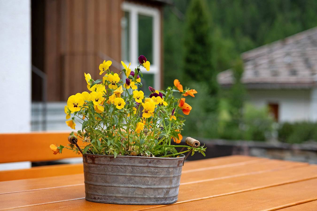 Ganze Wohnung, Ferienwohnung "Haus Lena" mit Balkon und Wlan in Sulden, Stilfs
