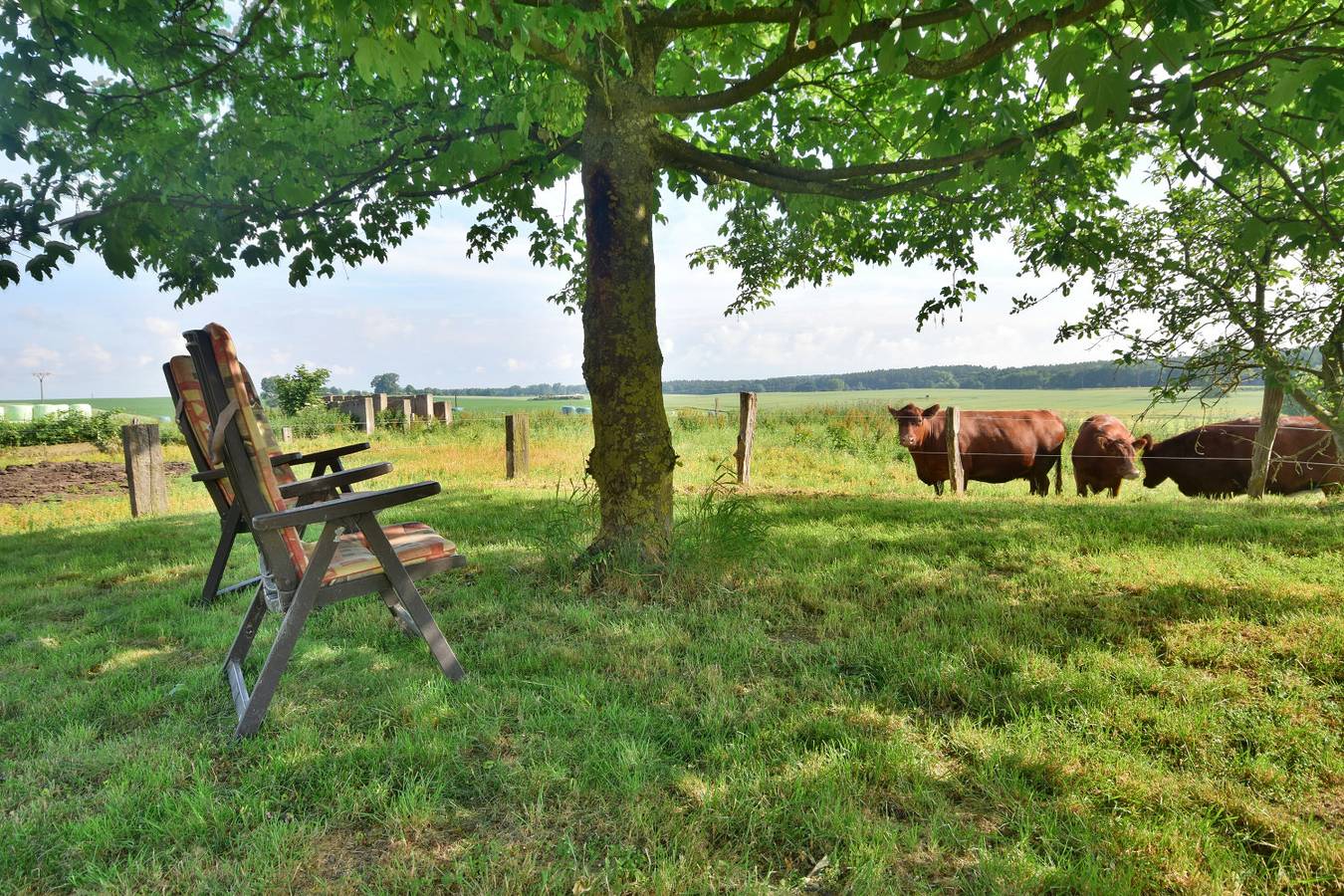 Ganze Ferienwohnung, Ferienwohnung Weideblick auf dem Bauernhof am Schweriner See in Bad Kleinen, Nordwestmecklenburg (Wismar und Umgebung)