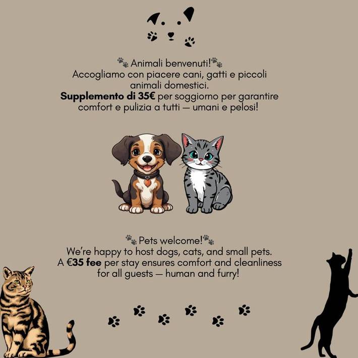 Gîte pour 4 personnes, animaux acceptés dans Asti - 4