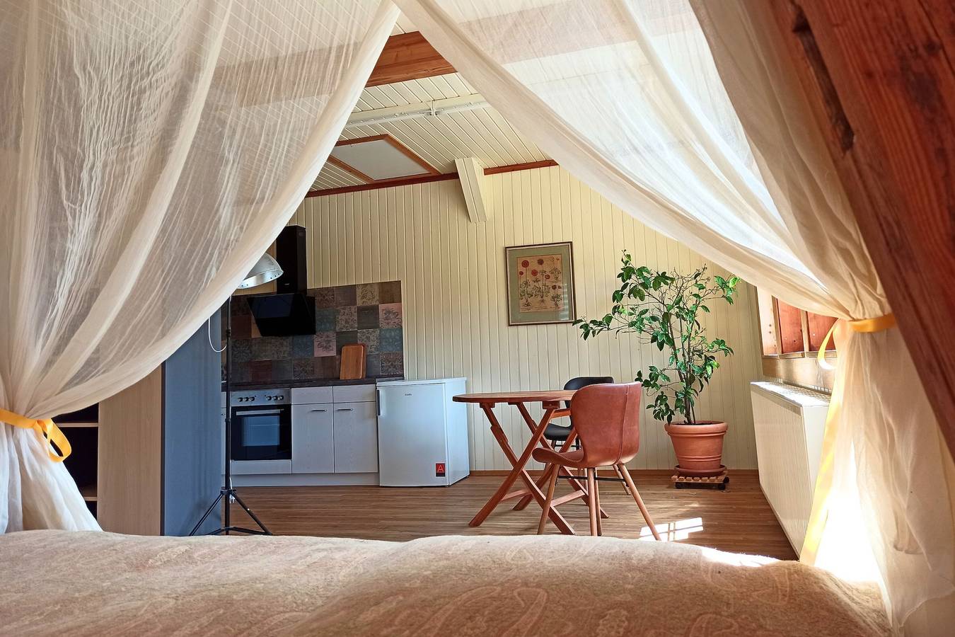Ganze Wohnung, Ferienwohnung 'Sonnenzimmer' mit privater Terrasse und Gemeinschaftsgarten in Bad Waldsee, Region Bodensee-Oberschwaben