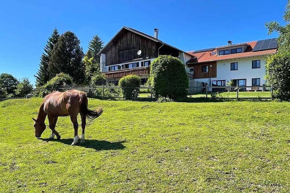 Ganze Wohnung, Alpen Panoramahof - Ferienwohnung, 2 Schlafzimmer, Bad + Dusche/Wc in Nesselwang, Bayerisch Schwaben