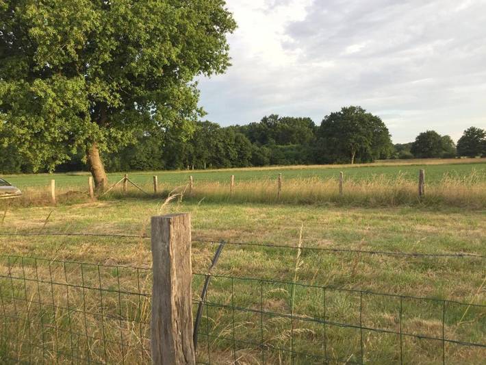 Location de vacances pour 6 personnes, avec vue ainsi que jardin et piscine à Arnage - 2