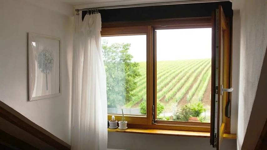Ferienwohnung für 2 Personen, mit Garten im Pfälzer Wald - 4