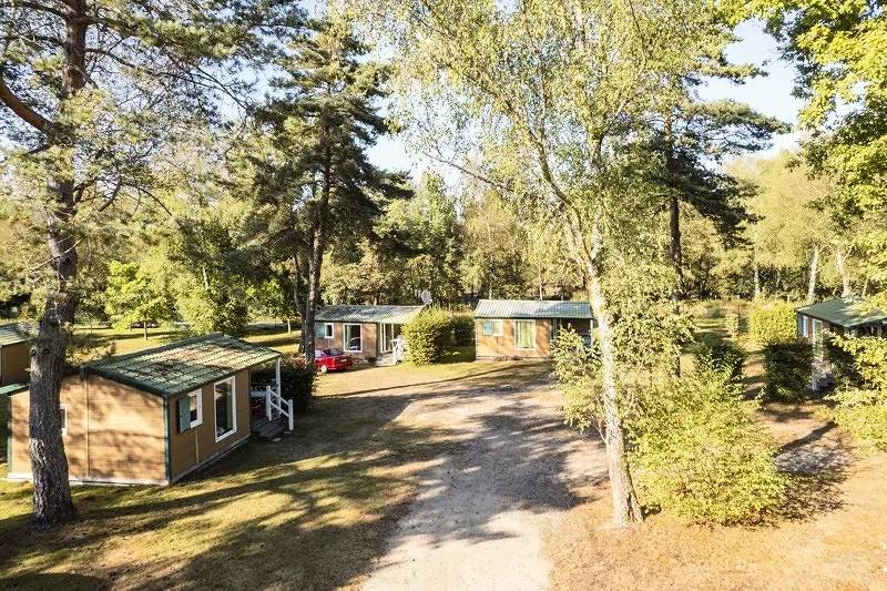 Roller 2 kamers 4 personen Terras, foto 8