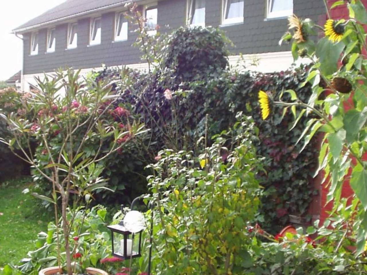 Hotel Garni Zur Post in Utersum, Föhr